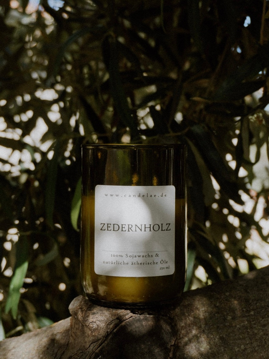 Duftkerze CEDRO