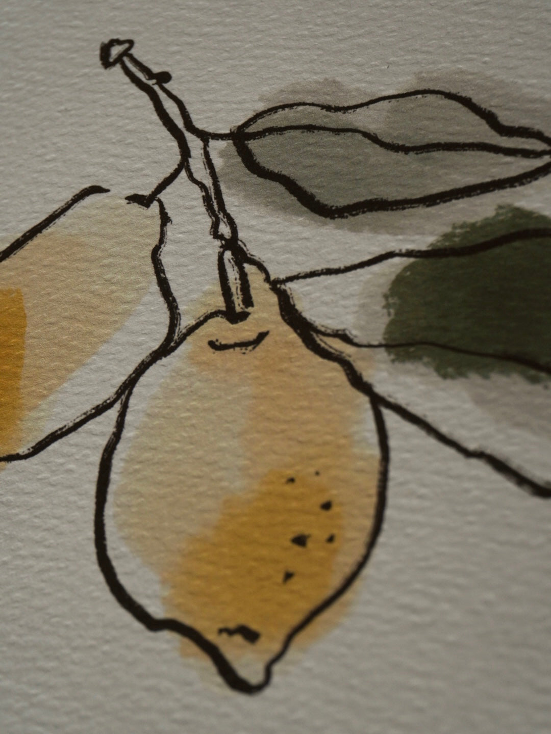 Artprint LIMONE - Steffi Bauer