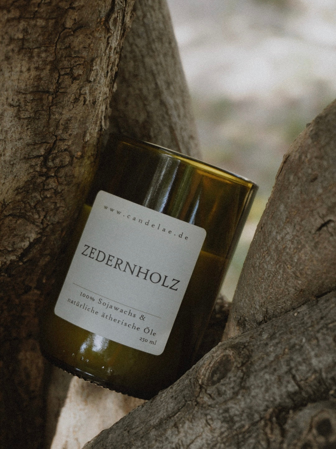 Duftkerze CEDRO