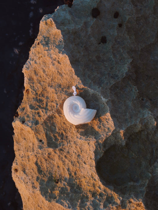 Skulpturkerze CAVA